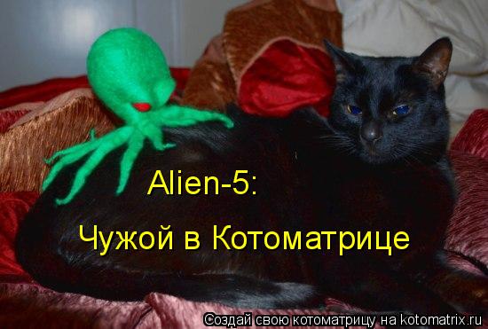Alien-5: Чужой в Котоматрице... Котоматрица: Alien-5: Чужой в Котоматрице