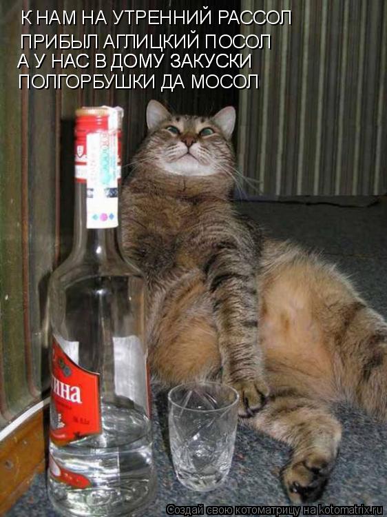 К НАМ НА УТРЕННИЙ РАССОЛ ПРИБЫЛ АГЛИЦКИЙ ПОСОЛ А У НАС В ДОМУ ЗАКУСКИ А У НАС В ДОМУ ЗАКУСКИ ПОЛГОРБУ... Котоматрица: К НАМ НА УТРЕННИЙ РАССОЛ ПРИБЫЛ АГЛИЦКИЙ ПОСОЛ А У НАС В ДОМУ ЗАКУСКИ А У НАС В ДОМУ ЗАКУСКИ ПОЛГОРБУШКИ ДА МОСОЛ
