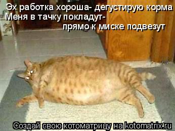Эх работка хороша- дегустирую корма Меня в тачку покладут- прямо к миске подвезут... Котоматрица: Эх работка хороша- дегустирую корма Меня в тачку покладут- прямо к миске подвезут