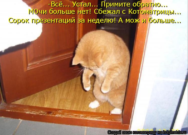 -Всё... Устал... Примите обратно... МОчи больше нет! Сбежал с Котоматрицы... Сорок презентаций за нед... Котоматрица: -Всё... Устал... Примите обратно... МОчи больше нет! Сбежал с Котоматрицы... Сорок презентаций за неделю! А мож и больше...