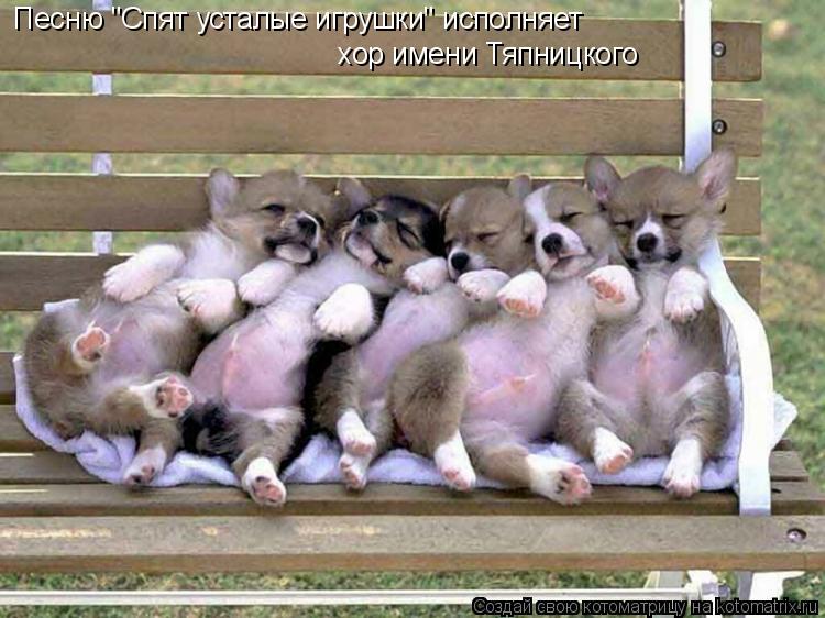 Песню "Спят усталые игрушки" исполняет хор имени Тяпницкого... Котоматрица: Песню "Спят усталые игрушки" исполняет хор имени Тяпницкого