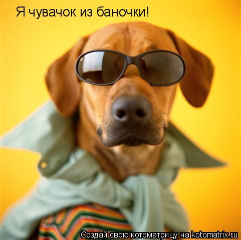 Я чувачок из баночки!... Котоматрица: Я чувачок из баночки!