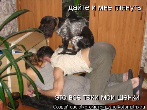 дайте и мне глянуть это все таки мои щенки... Котоматрица: дайте и мне глянуть это все таки мои щенки