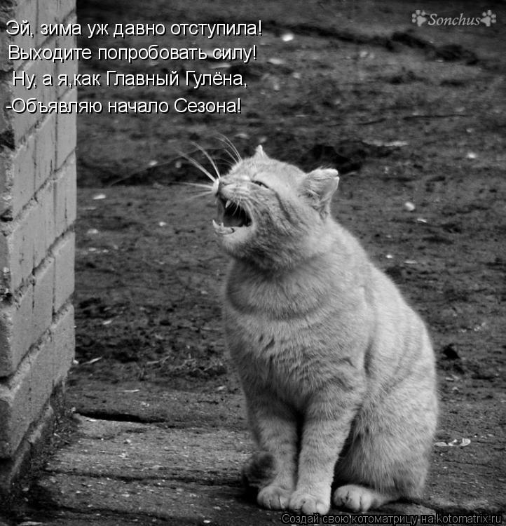 Эй, зима уж давно отступила! Выходите попробовать силу! Ну, а я,как Главный Гулёна, -Объявляю начало ... Котоматрица: Эй, зима уж давно отступила! Выходите попробовать силу! Ну, а я,как Главный Гулёна, -Объявляю начало Сезона!