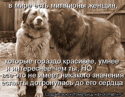 в мире есть миллионы женщин, которые гораздо красивее, умнее и интереснее чем ты, НО все это не имее... Котоматрица: в мире есть миллионы женщин, которые гораздо красивее, умнее и интереснее чем ты, НО все это не имеет никакого значения, если ты дотронулас