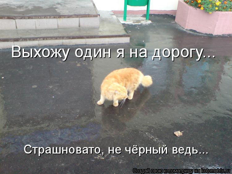 Выхожу один я на дорогу... Страшновато, не чёрный ведь...... Котоматрица: Выхожу один я на дорогу... Страшновато, не чёрный ведь...