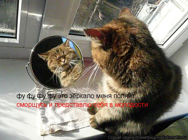 фу фу фу фу это зеркало меня полнит сморщусь и представлю себя в молодости... Котоматрица: фу фу фу фу это зеркало меня полнит сморщусь и представлю себя в молодости