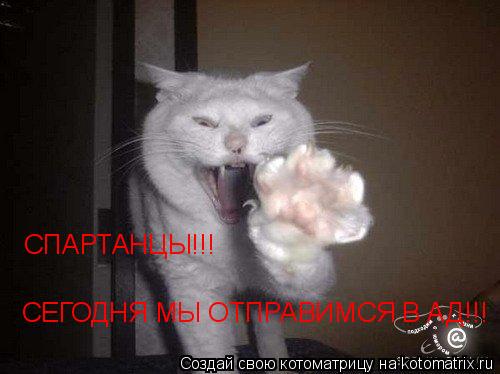 СПАРТАНЦЫ!!! СЕГОДНЯ МЫ ОТПРАВИМСЯ В АД!!!... Котоматрица: СПАРТАНЦЫ!!! СЕГОДНЯ МЫ ОТПРАВИМСЯ В АД!!!