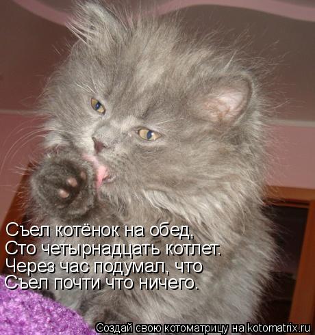 Съел котёнок на обед, Сто четырнадцать котлет. Через час подумал, что Съел почти что ничего.... Котоматрица: Съел котёнок на обед, Сто четырнадцать котлет. Через час подумал, что Съел почти что ничего.
