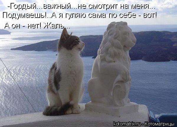 -Гордый...важный...не смотрит на меня... Подумаешь!..А я гуляю сама по себе - вот! А он - нет! Жаль..... Котоматрица: -Гордый...важный...не смотрит на меня... Подумаешь!..А я гуляю сама по себе - вот! А он - нет! Жаль...