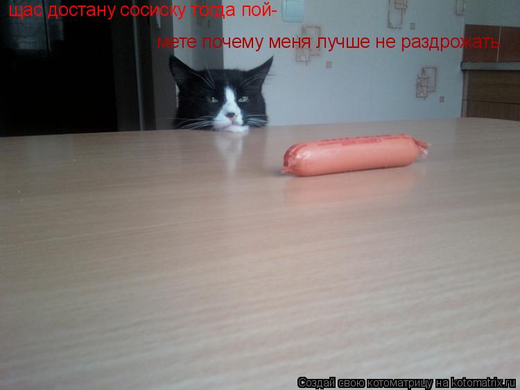 щас достану сосиску тогда пой- мете почему меня лучше не раздрожать... Котоматрица: щас достану сосиску тогда пой- мете почему меня лучше не раздрожать