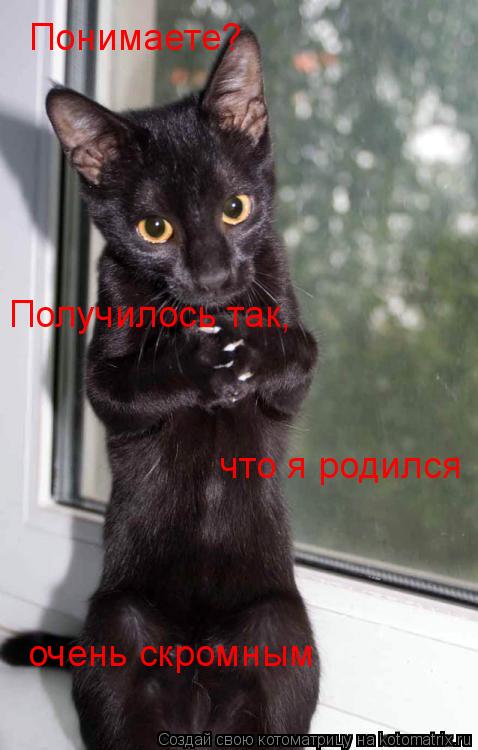 Понимаете? Получилось так, что я родился очень скромным... Котоматрица: Понимаете? Получилось так, что я родился очень скромным