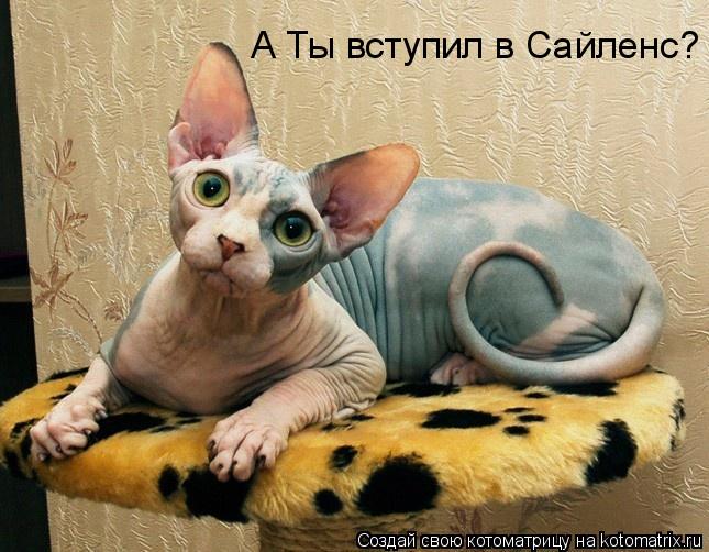 А Ты вступил в Сайленс?... Котоматрица: А Ты вступил в Сайленс?
