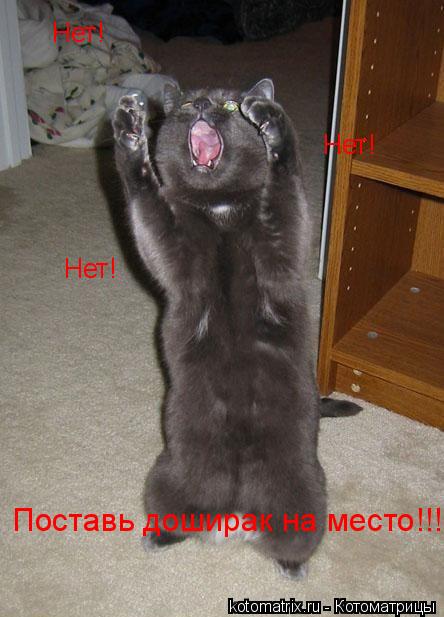 Нет! Нет! Нет! Поставь доширак на место!!!... Котоматрица: Нет! Нет! Нет! Поставь доширак на место!!!