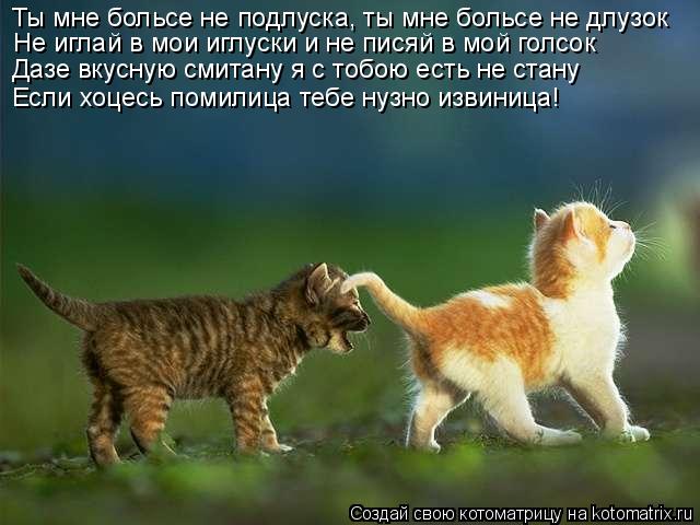 Ты мне больсе не подлуска, ты мне больсе не длузок Не иглай в мои иглуски и не писяй в мой голсок Даз... Котоматрица: Ты мне больсе не подлуска, ты мне больсе не длузок Не иглай в мои иглуски и не писяй в мой голсок Дазе вкусную смитану я с тобою есть не стану