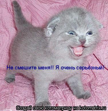 Не смешите меня!! Я очень серьёзный!... Котоматрица: Не смешите меня!! Я очень серьёзный!