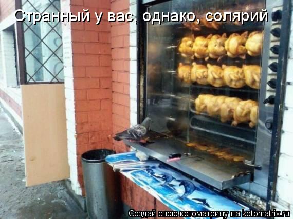 Странный у вас, однако, солярий... Котоматрица: Странный у вас, однако, солярий