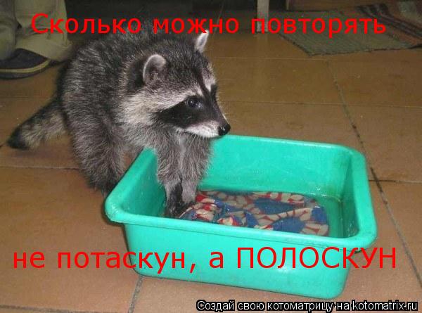 Сколько можно повторять не потаскун, а ПОЛОСКУН... Котоматрица: Сколько можно повторять не потаскун, а ПОЛОСКУН