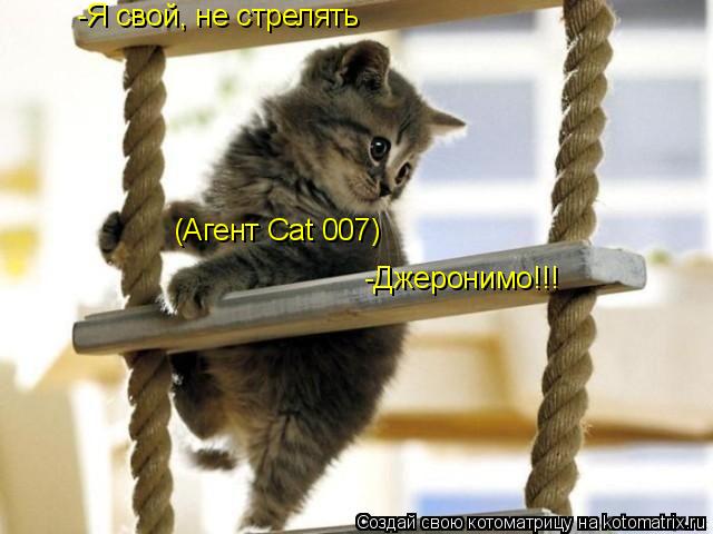-Я свой, не стрелять -Джеронимо!!! (Агент Cat 007)... Котоматрица: -Я свой, не стрелять -Джеронимо!!! (Агент Cat 007)