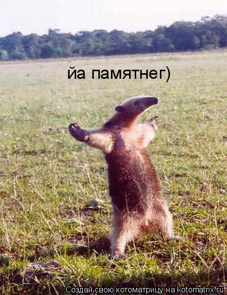 йа памятнег)... Котоматрица: йа памятнег)