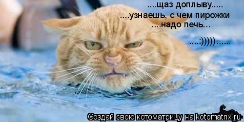 ....щаз доплыву..... ....узнаешь, с чем пирожки ....надо печь... ....:)))))......... Котоматрица: ....щаз доплыву..... ....узнаешь, с чем пирожки ....надо печь... ....:)))))......