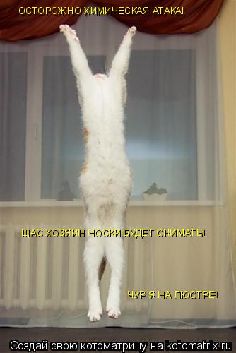 ОСТОРОЖНО ХИМИЧЕСКАЯ АТАКА! ЩАС ХОЗЯИН НОСКИ БУДЕТ СНИМАТЬ! ЧУР Я НА ЛЮСТРЕ!... Котоматрица: ОСТОРОЖНО ХИМИЧЕСКАЯ АТАКА! ЩАС ХОЗЯИН НОСКИ БУДЕТ СНИМАТЬ! ЧУР Я НА ЛЮСТРЕ!