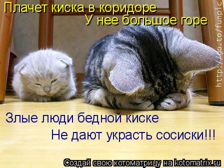Котоматрица: Плачет киска в коридоре У нее большое горе Злые люди бедной киске Не дают украсть сосиски!!!