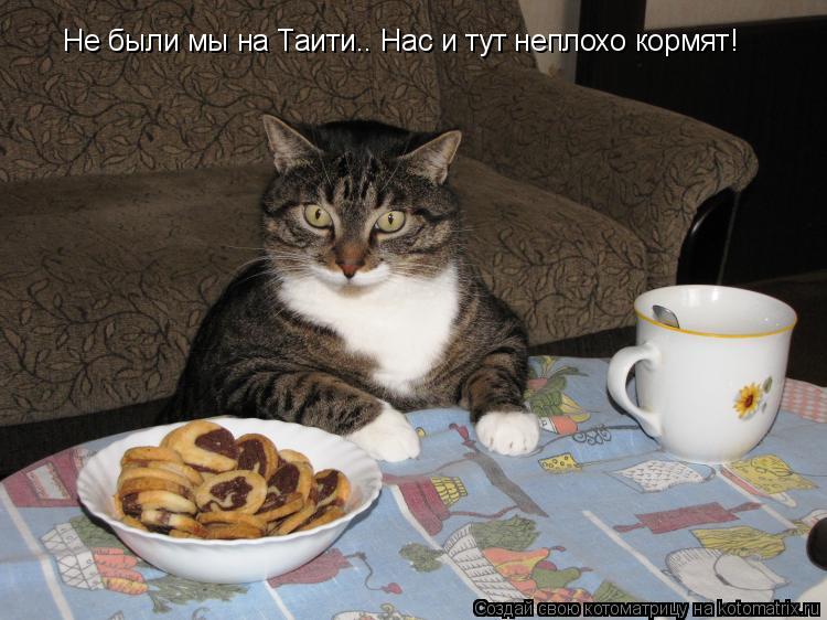 Не были мы на Таити.. Нас и тут неплохо кормят!... Котоматрица: Не были мы на Таити.. Нас и тут неплохо кормят!