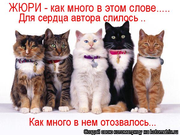 ЖЮРИ - как много в этом слове..... Для сердца автора слилось .. Как много в нем отозвалось...... Котоматрица: ЖЮРИ - как много в этом слове..... Для сердца автора слилось .. Как много в нем отозвалось...