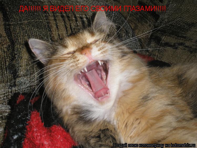 ДА!!!!!! Я ВИДЕЛ ЕГО СВОИМИ ГЛАЗАМИ!!!!!... Котоматрица: ДА!!!!!! Я ВИДЕЛ ЕГО СВОИМИ ГЛАЗАМИ!!!!!