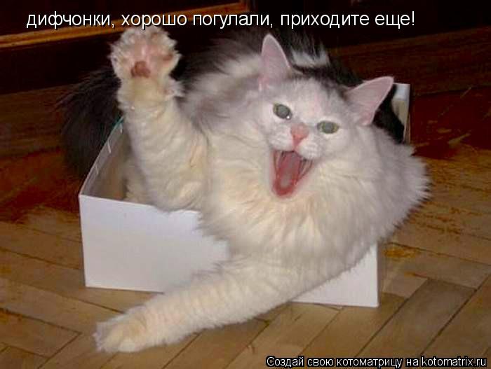 дифчонки, хорошо погулали, приходите еще!... Котоматрица: дифчонки, хорошо погулали, приходите еще!