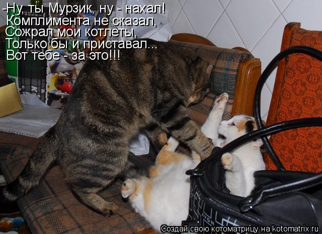 -Ну, ты Мурзик, ну - нахал! Комплимента не сказал, Вот тебе - за это!!! Сожрал мои котлеты, Только бы... Котоматрица: -Ну, ты Мурзик, ну - нахал! Комплимента не сказал, Вот тебе - за это!!! Сожрал мои котлеты, Только бы и приставал...