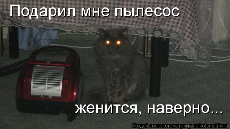 Подарил мне пылесос женится, наверно...... Котоматрица: Подарил мне пылесос женится, наверно...
