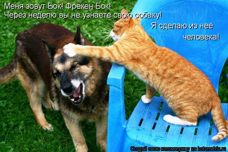 Меня зовут Бок! Фрекен Бок! Через неделю вы не узнаете свою собаку! Я сделаю из неё человека!... Котоматрица: Меня зовут Бок! Фрекен Бок! Через неделю вы не узнаете свою собаку! Я сделаю из неё человека!