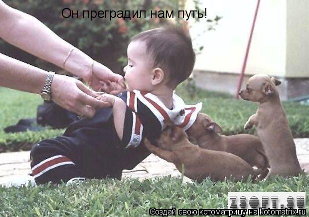 Он преградил нам путь!... Котоматрица: Он преградил нам путь!