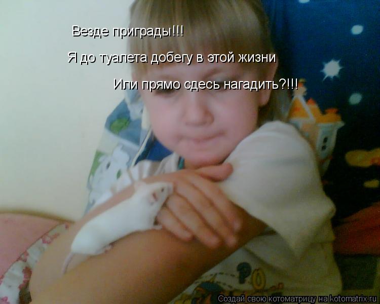 Везде приграды!!! Везде приграды!!! Я до туалета добегу в этой жизни Или прямо сдесь нагадить?!!!... Котоматрица: Везде приграды!!! Везде приграды!!! Я до туалета добегу в этой жизни Или прямо сдесь нагадить?!!!