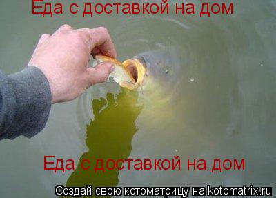 Еда с доставкой на дом Еда с доставкой на дом... Котоматрица: Еда с доставкой на дом Еда с доставкой на дом