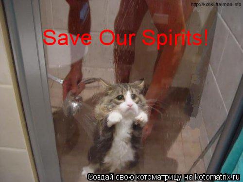 Save Our Spirits!... Котоматрица: Save Our Spirits!