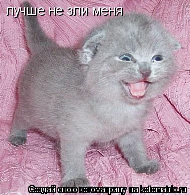 лучше не зли меня... Котоматрица: лучше не зли меня