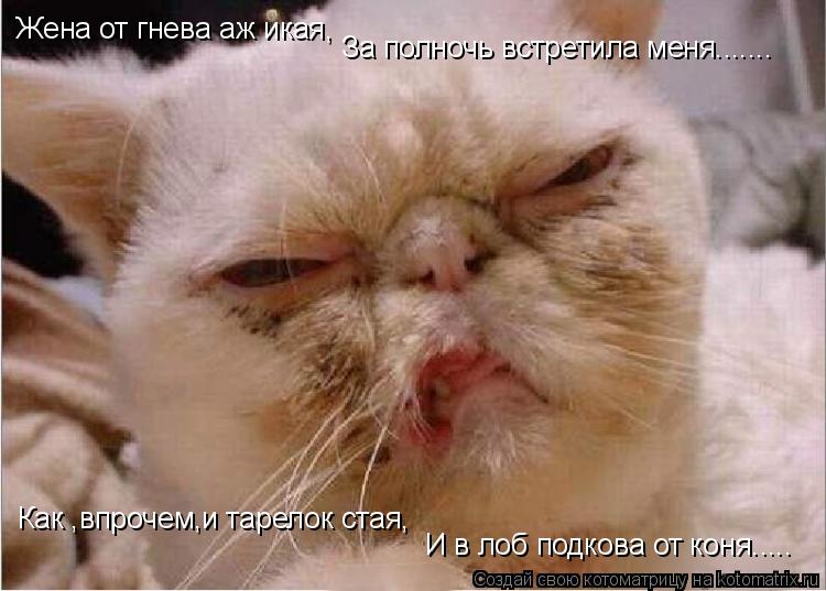 Жена от гнева аж икая, За полночь встретила меня....... Как ,впрочем,и тарелок стая, И в лоб подкова ... Котоматрица: Жена от гнева аж икая, За полночь встретила меня....... Как ,впрочем,и тарелок стая, И в лоб подкова от коня.....