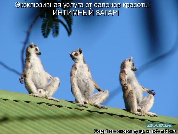 Эксклюзивная услуга от салонов красоты: ИНТИМНЫЙ ЗАГАР!... Котоматрица: Эксклюзивная услуга от салонов красоты: ИНТИМНЫЙ ЗАГАР!