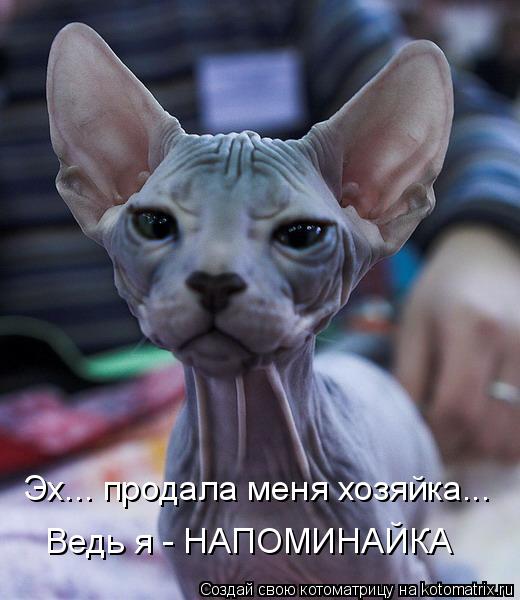 Котоматрица: Ведь я - НАПОМИНАЙКА Эх... продала меня хозяйка...