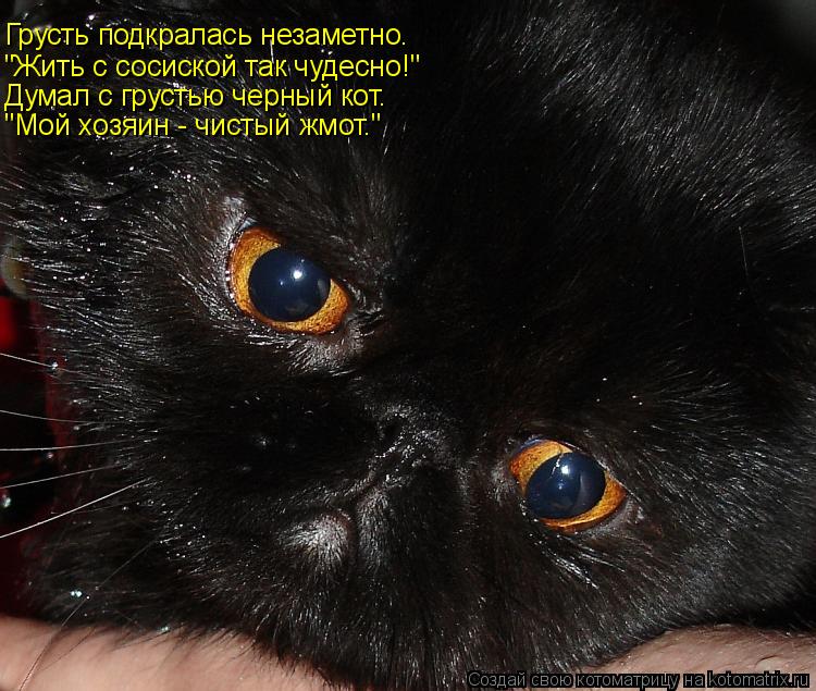 Грусть подкралась незаметно. "Жить с сосиской так чудесно!" Думал с грустью черный кот. "Мой хозяин -... Котоматрица: Грусть подкралась незаметно. "Жить с сосиской так чудесно!" Думал с грустью черный кот. "Мой хозяин - чистый жмот."