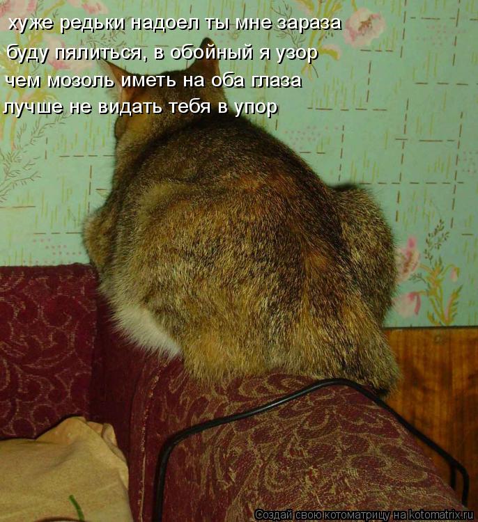 хуже редьки надоел ты мне зараза буду пялиться, в обойный я узор чем мозоль иметь на оба глаза лучше ... Котоматрица: хуже редьки надоел ты мне зараза буду пялиться, в обойный я узор чем мозоль иметь на оба глаза лучше не видать тебя в упор