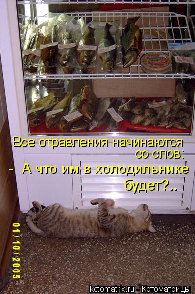 Все отравления начинаются со слов: - А что им в холодильнике будет?..... Котоматрица: Все отравления начинаются со слов: - А что им в холодильнике будет?..