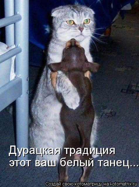 этот ваш белый танец... Дурацкая традиция... Котоматрица: этот ваш белый танец... Дурацкая традиция