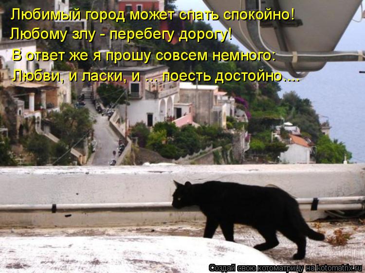 Любимый город может спать спокойно! Любому злу - перебегу дорогу! В ответ же я прошу совсем немного... Котоматрица: Любимый город может спать спокойно! Любому злу - перебегу дорогу! В ответ же я прошу совсем немного: Любви, и ласки, и ... поесть достойно....
