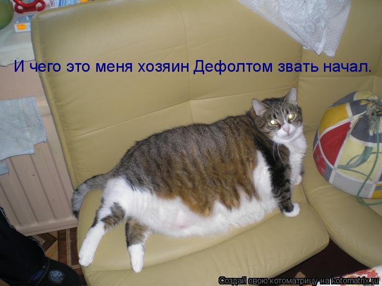И чего это меня хозяин Дефолтом звать начал.... Котоматрица: И чего это меня хозяин Дефолтом звать начал.