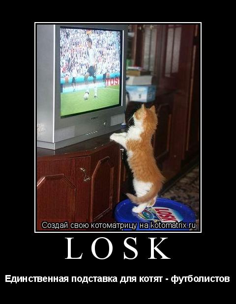 Котоматрица: LOSK Единственная подставка для котят - футболистов