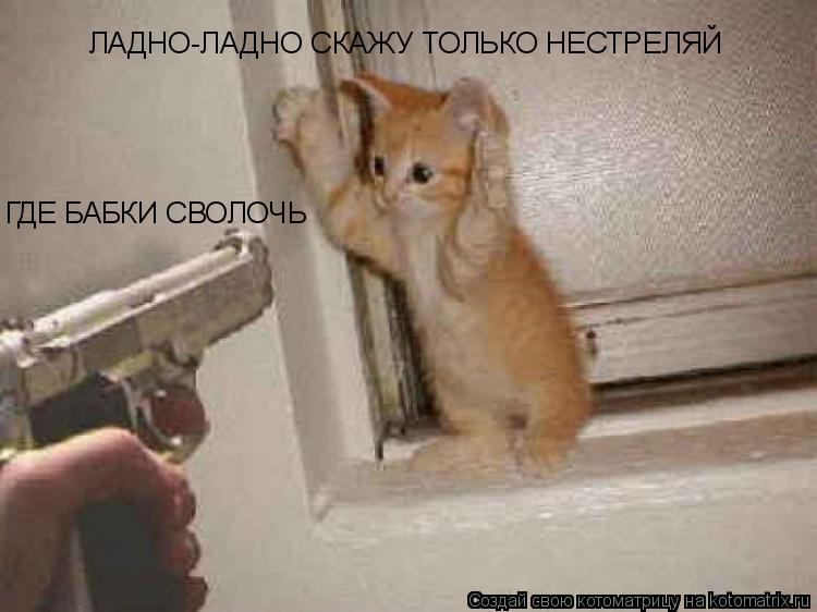ГДЕ БАБКИ СВОЛОЧЬ ЛАДНО-ЛАДНО СКАЖУ ТОЛЬКО НЕСТРЕЛЯЙ... Котоматрица: ГДЕ БАБКИ СВОЛОЧЬ ЛАДНО-ЛАДНО СКАЖУ ТОЛЬКО НЕСТРЕЛЯЙ